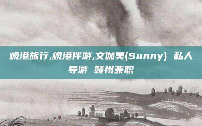 琼海岘港旅行,岘港伴游,文伽昊(Sunny) 私人导游 赣州兼职