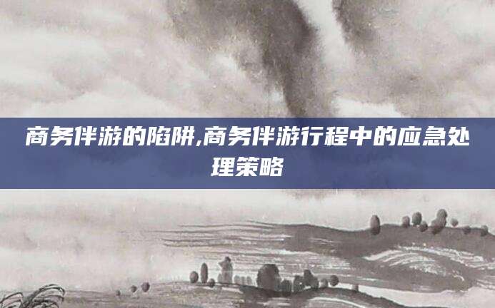 琼海商务伴游的陷阱,商务伴游行程中的应急处理策略